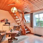 Waldblick Am Haus Ein Ostseebad Kühlungsborn