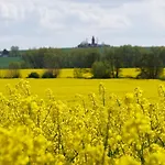Apartamento Waldblick Am Haus Ein