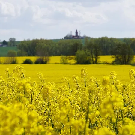 Waldblick Am Haus Ein