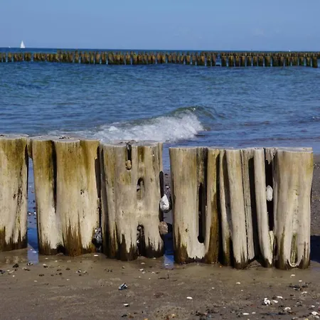 Waldblick Am Haus Ein * Ostseebad Kühlungsborn